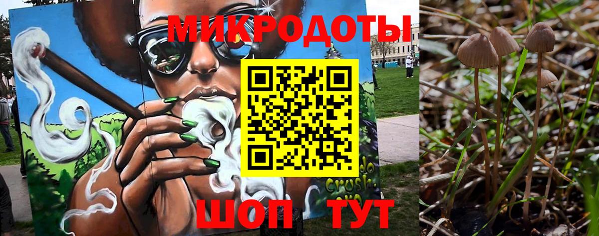 Псилоцибиновые грибы Зеленокумск