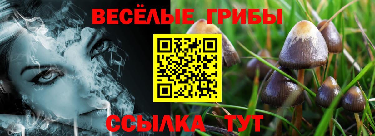 Зеленокумск  Галлюциногенные грибы прущие грибы  Вход с VPN  Псилоцибиновые грибы мухоморы 
